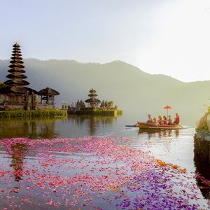 paysage nature Bali