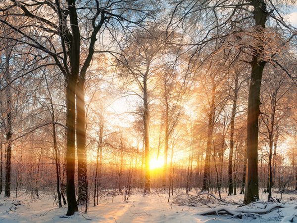 lever de soleil apaisant en hiver