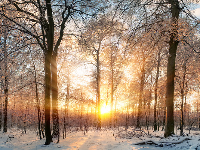 lever de soleil apaisant en hiver